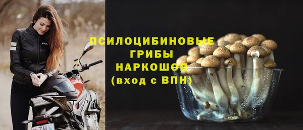 шишки Абдулино