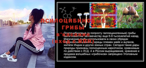 хмурый Абинск