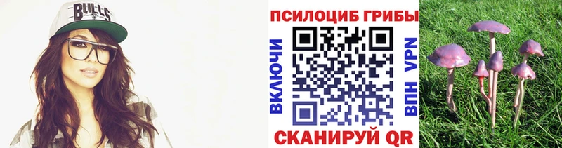 Псилоцибиновые грибы мухоморы  купить наркотики сайты  Североморск 